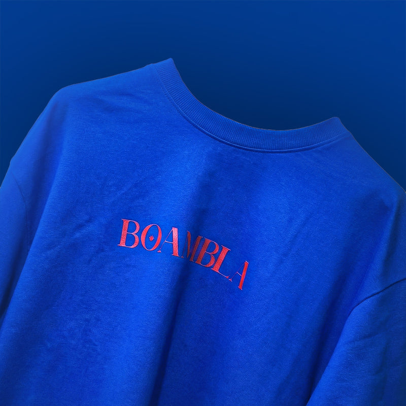 Blue |  BOAMBLA “I know Nothing” Oversized Teee