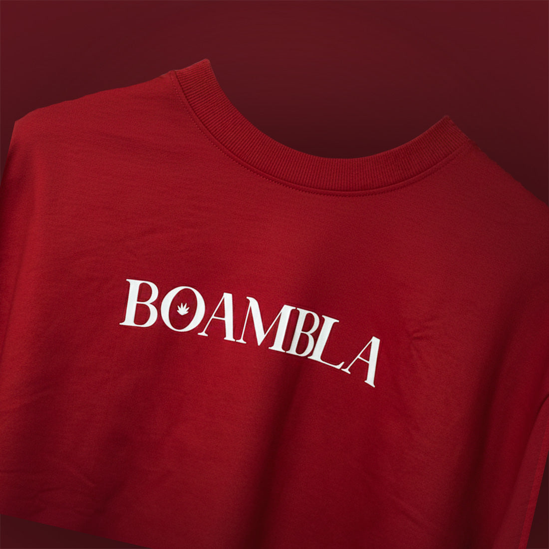 Red | BOAMBLA “Not Available in your Vision” Oversized Tee