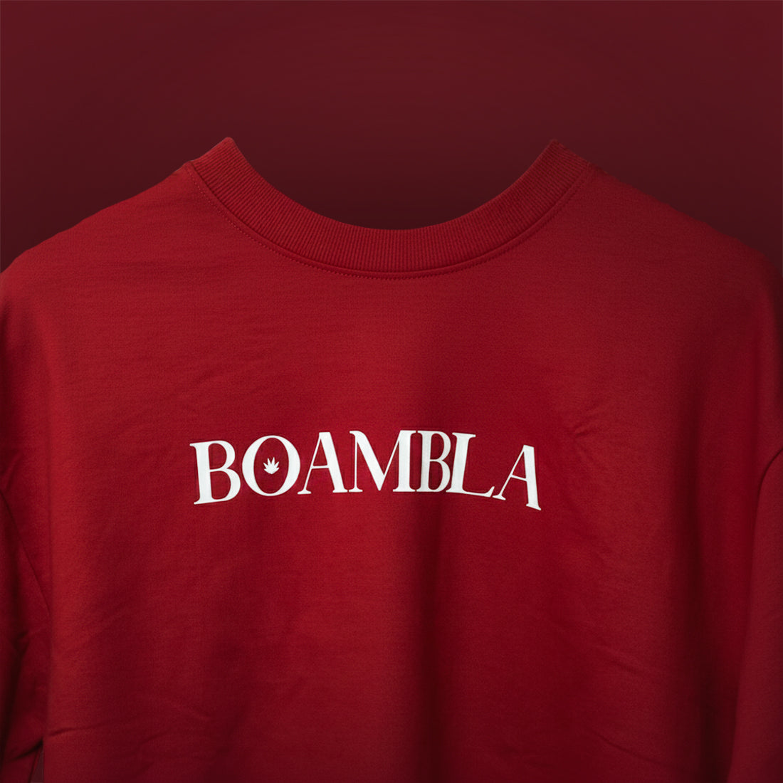 Red | BOAMBLA “Not Available in your Vision” Oversized Tee